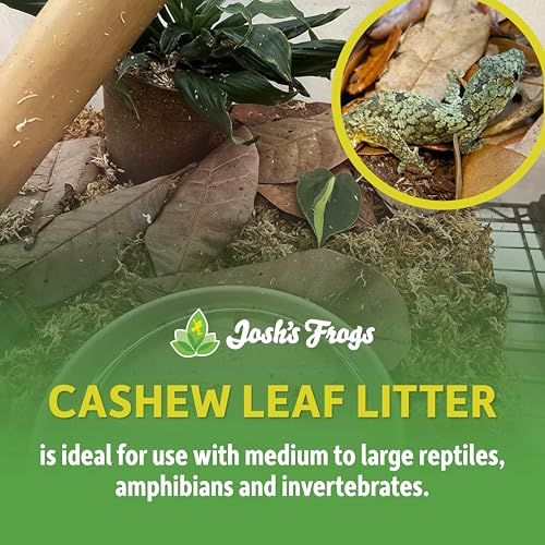 Josh's Frogs Small Cashew Leaf Litter (10 Count) - Image 2