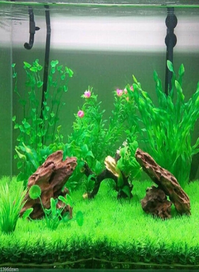 Earth Hopper ١٢٥ بذرة - بذور نباتات عشبية لأحواض السمك، عشب صغير ذو شعيرات، بذور مائية لأحواض السمك، نبات عشبي للحديقة، نبات عشبي لأحواض السمك، سهل النمو - Image 3