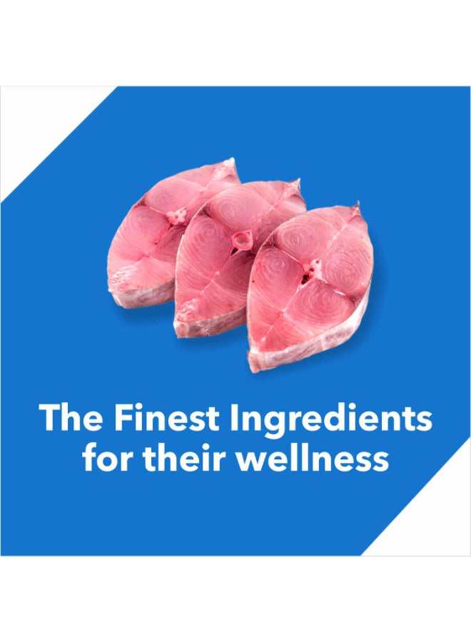 Drools طعام جاف للقطط البالغة، سمك المحيط - Image 3