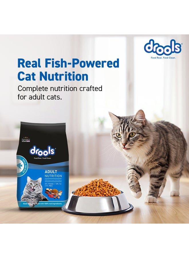 Drools Adult Dry Cat Food, Ocean Fish - Image 4