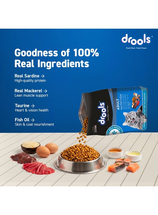 Drools Adult Dry Cat Food, Ocean Fish - Image 5