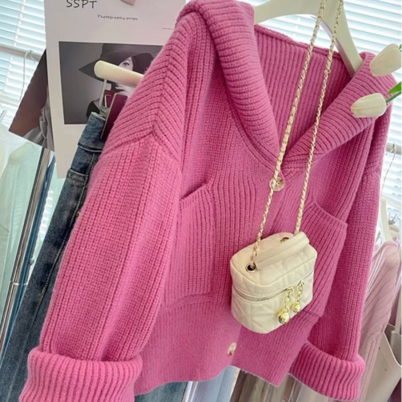 Coat 2024 Hooded New Korean Loose Lazy Short Top Early Spring Knitted Sweater Cardigan Outer Wear - Image 5