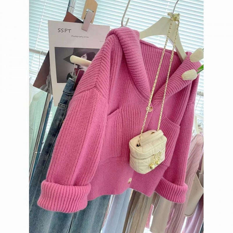 Coat 2024 Hooded New Korean Loose Lazy Short Top Early Spring Knitted Sweater Cardigan Outer Wear - Image 3