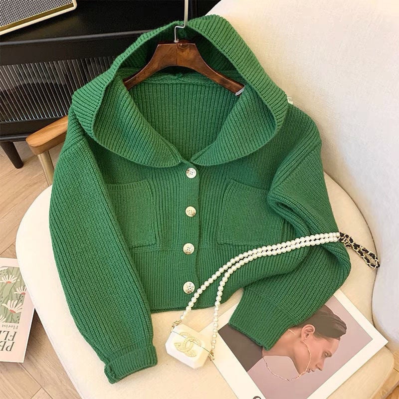 Coat 2024 Hooded New Korean Loose Lazy Short Top Early Spring Knitted Sweater Cardigan Outer Wear - Image 1