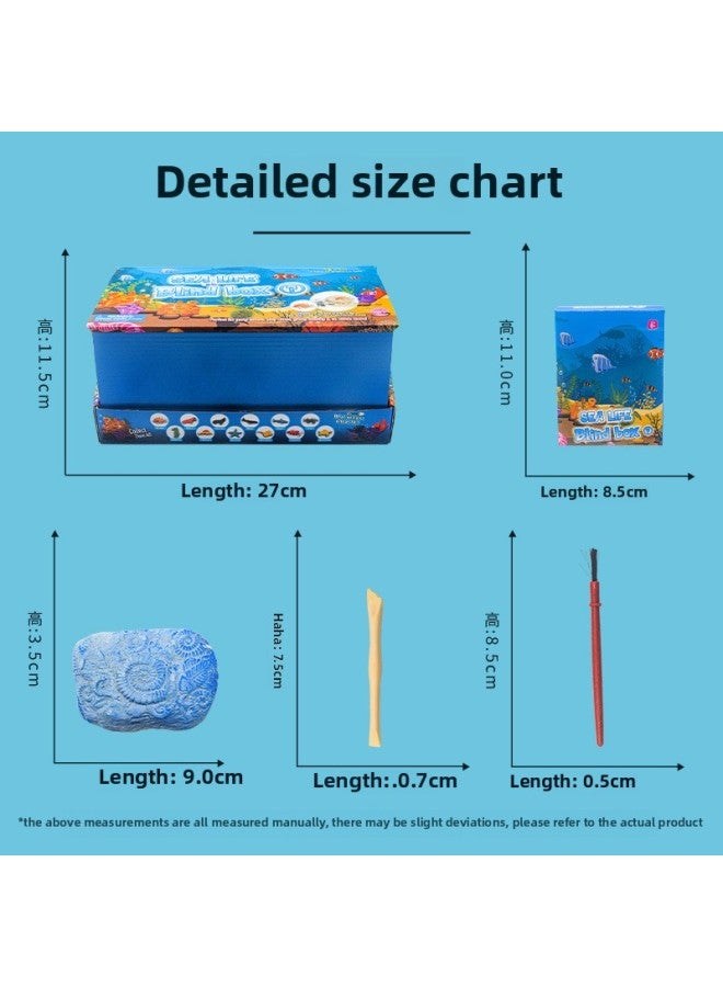 DIY Marine Creatures Children's Handmade Toys Creative Ocean World Twelve Animal Digging Toys-Color:Archaeological Marine Patch (Set Of 12)-Specifications:Archaeological Marine Animal Guess Box Small Clods (12 Sets)  - Image 4
