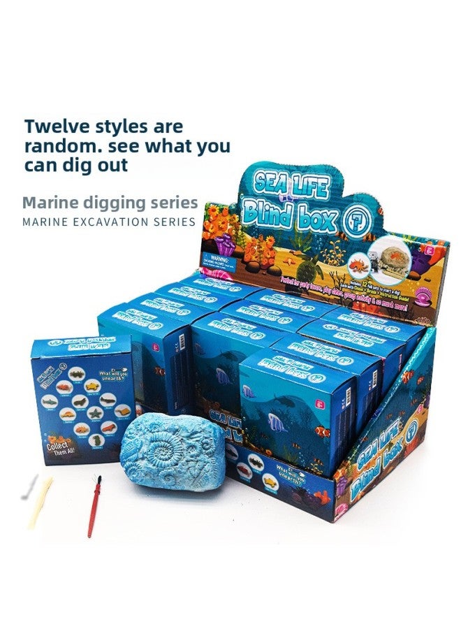 DIY Marine Creatures Children's Handmade Toys Creative Ocean World Twelve Animal Digging Toys-Color:Archaeological Marine Patch (Set Of 12)-Specifications:Archaeological Marine Animal Guess Box Small Clods (12 Sets)  - Image 5