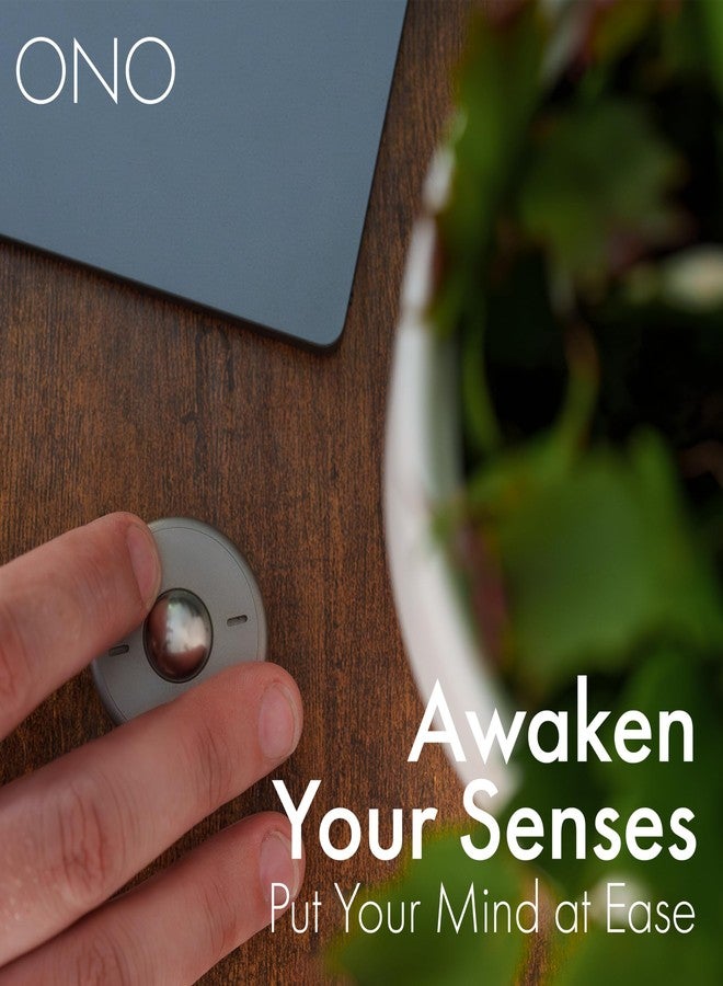 ONO Scroller- Handheld Fidget Toy for Adults | Help Relieve Stress, Anxiety, Tension | Promotes Focus, Clarity | Compact, Portable Design (Natural - Titanium) - Image 3