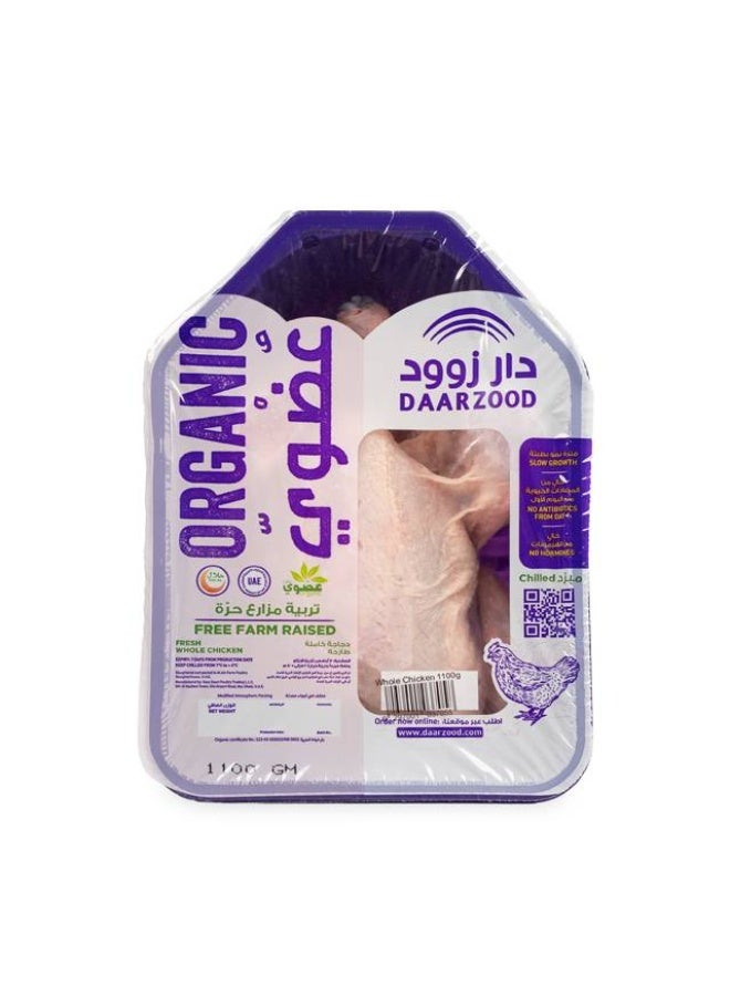 Darzood Whole Chicken, Skin On -1100g, UAE - Image 1