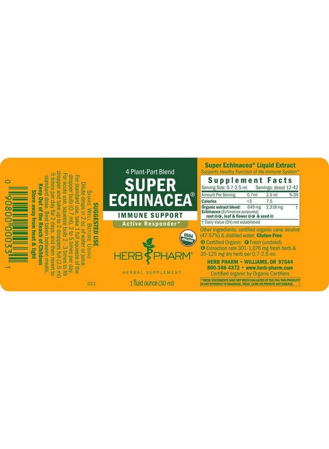 Herb Pharm - Immune Support - Super Echinacea, 1 fl oz (30 ml) (Pack of 4) - Image 2