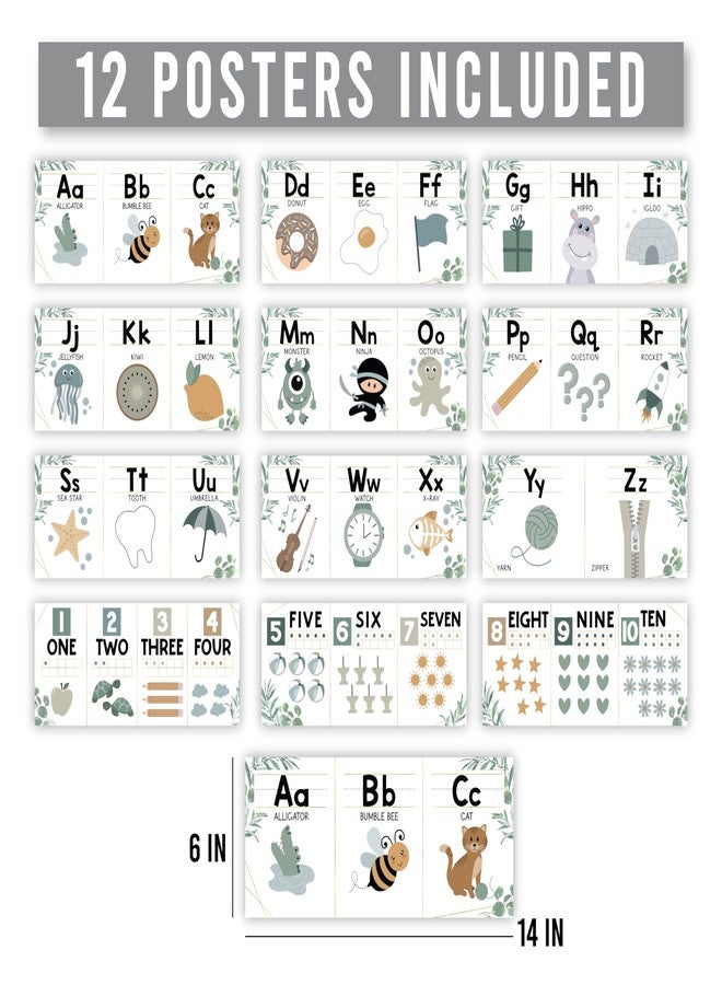 Hadley Designs Alphabet for Classroom Wall - ABC Letters and Numbers Posters for Preschool and Kindergarten - Alphabet Line for Classroom Decor and Homeschool - Greenery Theme - Image 4