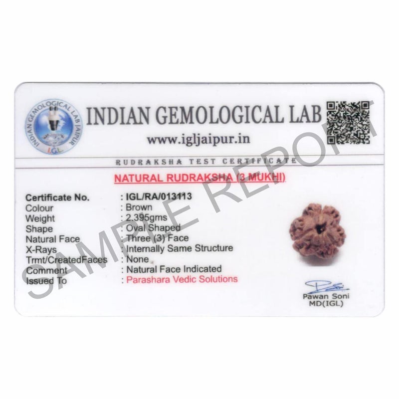 Arkam Three Mukhi Rudraksha Certified/Original Nepali 3 Mukhi Rudraksh/Natural 3 Faced Rudraksha (Brown) with Certificate and Puja Instructions - Image 2