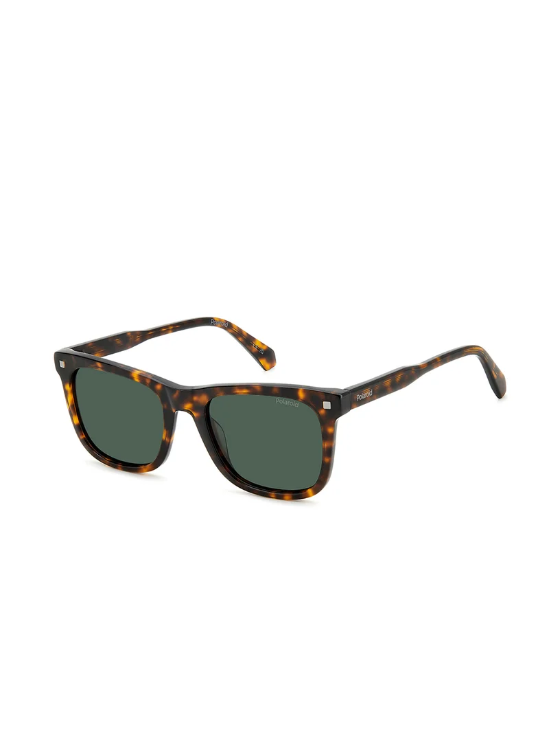 بولارويد Uv Protected  4167/S/X Oversized Sunglasses