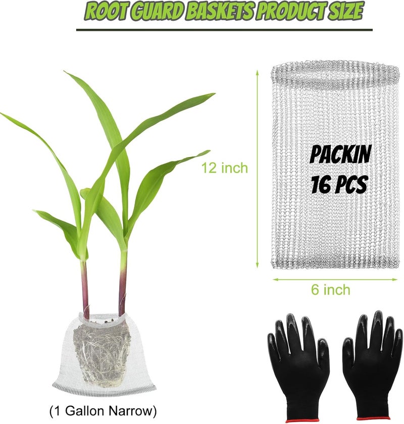 Froidesente 16 Pcs Root Guard Gopher Proof Stainless Wire Steel Baskets, 1 Gallon Narrow Gophers Moles Voles Mesh Baskets Protect Plant Roots Tubers Trees Flowers Crops (16 Pcs 1 Gallon Narrow) - Image 2