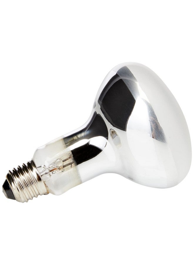 إكسو تيرا مصباح محاكاة الشمس إكسو تيرا سولار جلو، 80 واط - Image 2