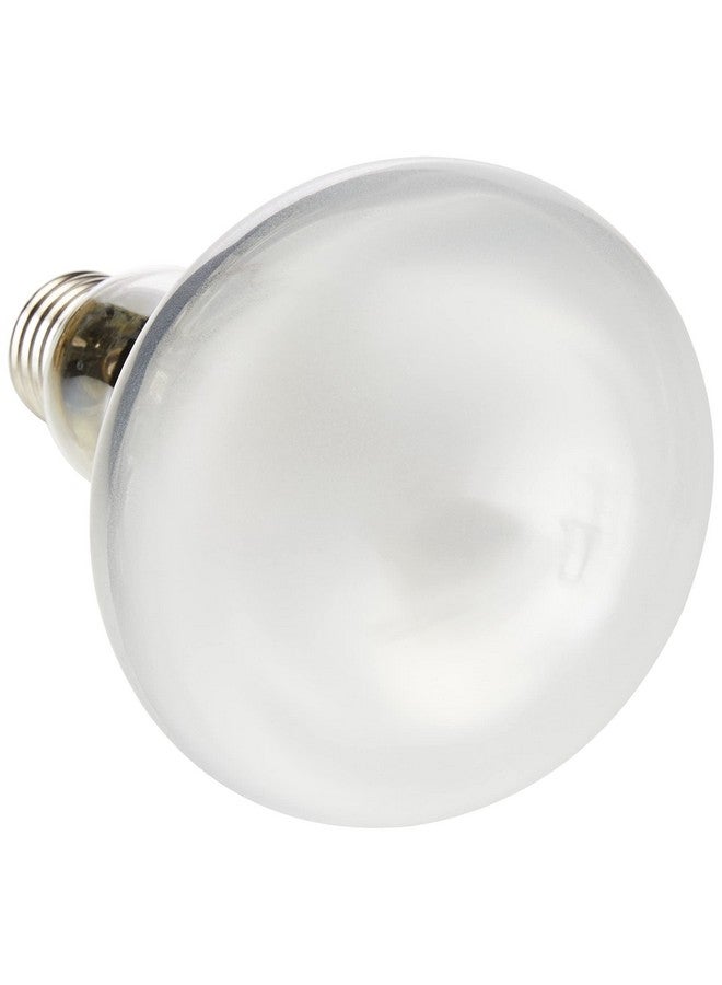 إكسو تيرا مصباح محاكاة الشمس إكسو تيرا سولار جلو، 80 واط - Image 5