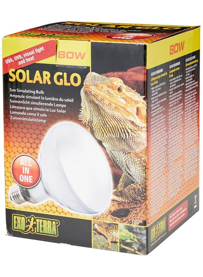 إكسو تيرا مصباح محاكاة الشمس إكسو تيرا سولار جلو، 80 واط - Image 1