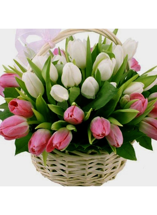 Carmel Flowers Tulips Mixed Basket - - Image 3
