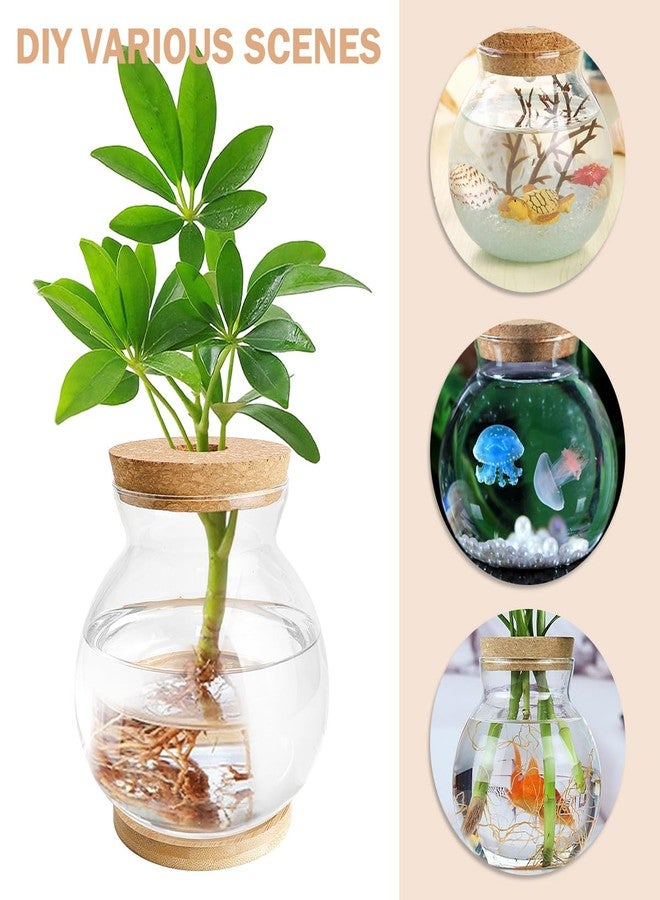 DOERDO DD DOERDO Desktop Fish Bowl Landscape Bottle Mini Glass Terrarium Clear Glass Small Fish Tank for Small Betta Fish Plants, 7x5.9 Inch - Image 5