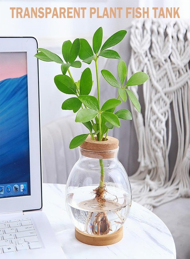 DOERDO DD DOERDO Desktop Fish Bowl Landscape Bottle Mini Glass Terrarium Clear Glass Small Fish Tank for Small Betta Fish Plants, 7x5.9 Inch - Image 4