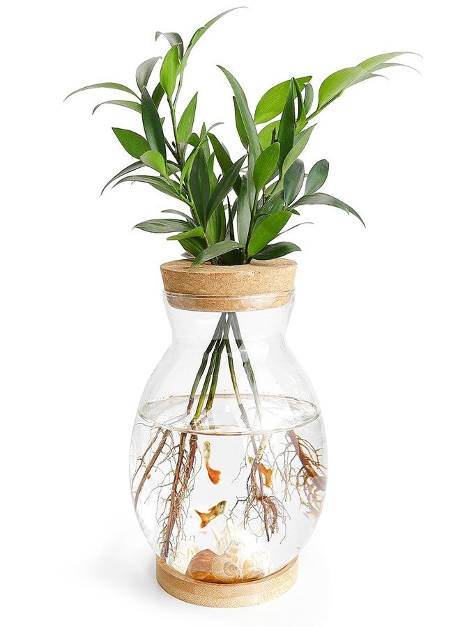 DOERDO DD DOERDO Desktop Fish Bowl Landscape Bottle Mini Glass Terrarium Clear Glass Small Fish Tank for Small Betta Fish Plants, 7x5.9 Inch - Image 1