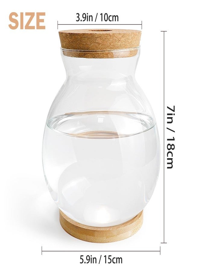 DOERDO DD DOERDO Desktop Fish Bowl Landscape Bottle Mini Glass Terrarium Clear Glass Small Fish Tank for Small Betta Fish Plants, 7x5.9 Inch - Image 2