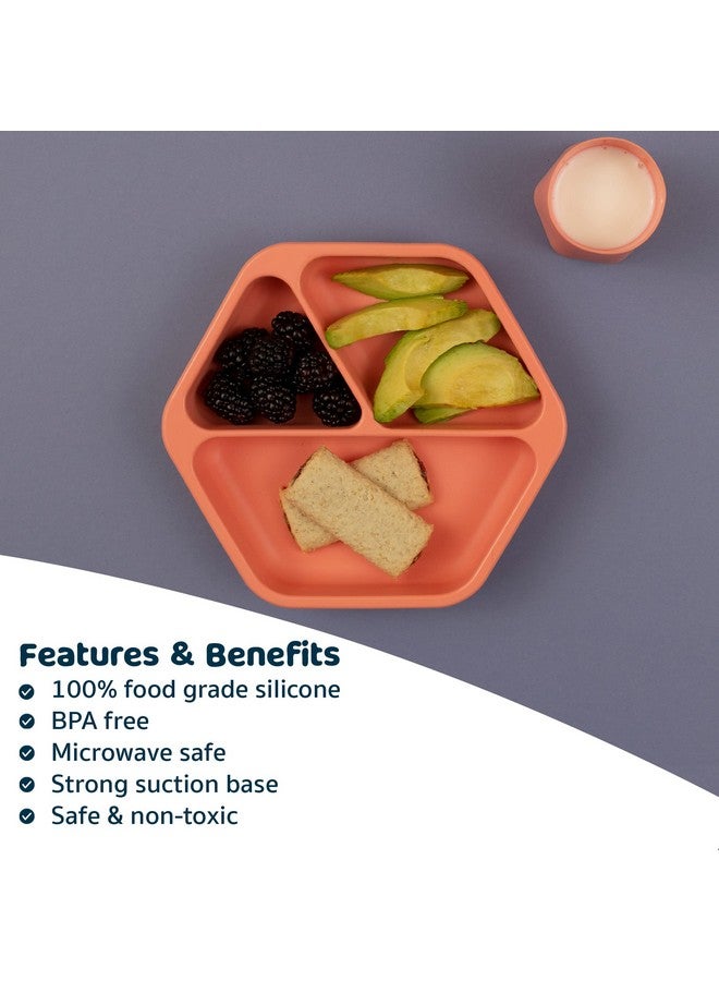 Tiny Twinkle Silicone Suction Baby Plate, Suction Grip Divided Dish For First Foods And Self-Feeding Toddlers, Baby Led Weaning Supplies For Independent Eating (Coral Plate)  - Image 5