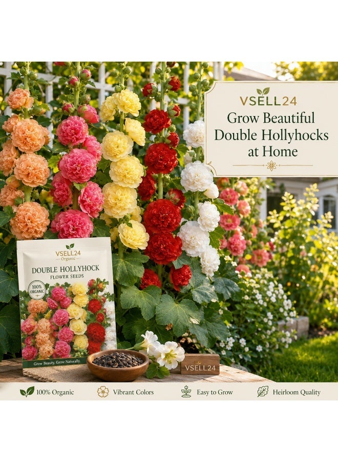 vsell24 3-Pack Hollyhock Flower Seeds for Planting | Mixed Colors | Grow at Home Garden Seeds - Image 1