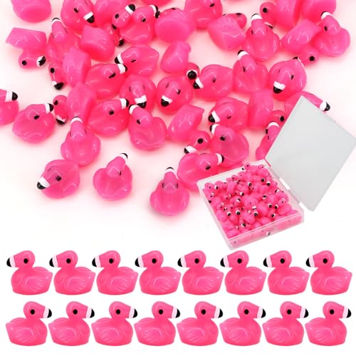 QUPIVA 50pcs Mini Resin Flamingo Ducks Tiny Flamingo Figurines to Hide Miniature Pink Flamingos Decor for Dollhouse Micro Fairy Garden Landscape DIY Craft - Image 1
