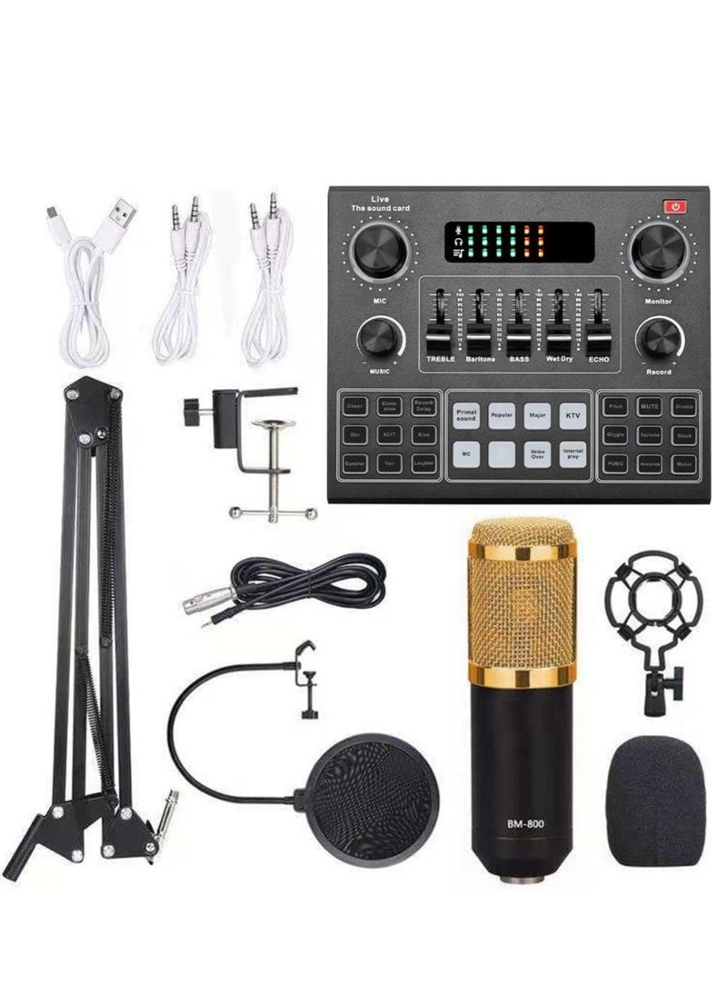 ELTRAZONE Elite V9 Sound Card & BM800 Pro Microphone Bundle for Advanced Broadcasting  - Image 1