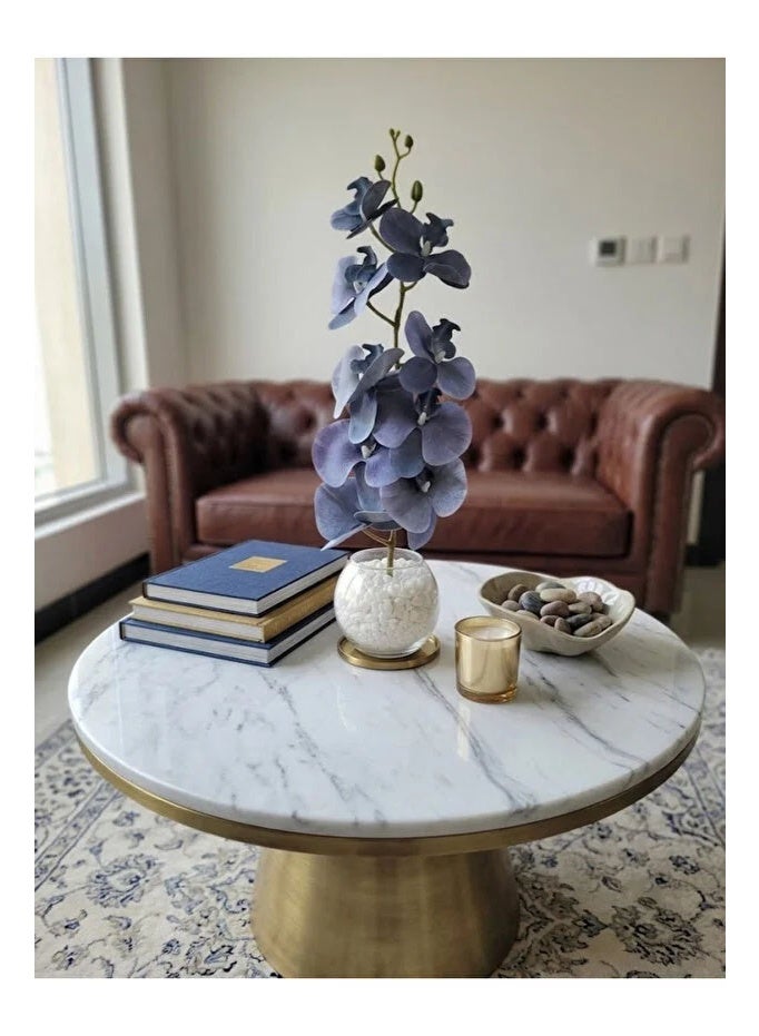 co arma Artificial orchid flower in a glass vase with pebbles, 50 cm tall - Image 1