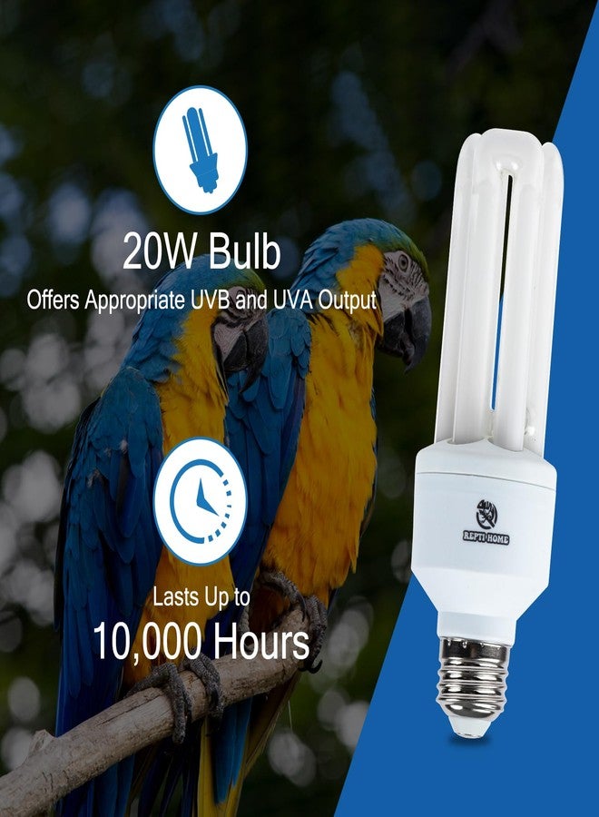 REPTI HOME UVA UVB Light Bulb for Birds 2.4 UVB 20W Compact Flourescent Lamp for All Kinds Captive Birds - Image 3