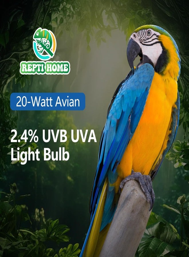 REPTI HOME UVA UVB Light Bulb for Birds 2.4 UVB 20W Compact Flourescent Lamp for All Kinds Captive Birds - Image 5