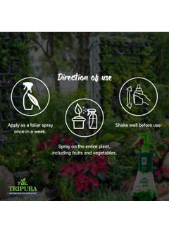 TBL TRIPURA DESTINATION FOR ASPIRATION TBL Tripura Destination for Aspiration Organic Leaf Glow 250 ml and Gro Gold 2 Kg  - Image 4