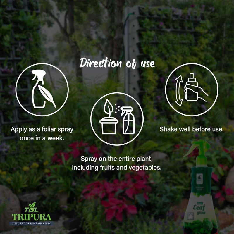 TBL TRIPURA DESTINATION FOR ASPIRATION TBL Tripura Destination for Aspiration Organic Leaf Glow 250 ml and Gro Gold 2 Kg  - Image 4