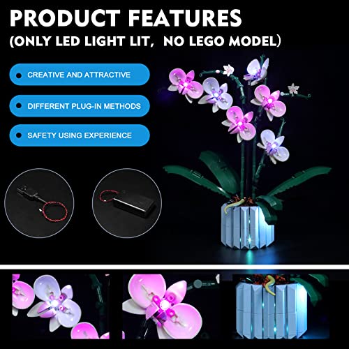 VONADO LED Light Kit Compatible with Lego Orchid 10311, Lighting Set Compatible with Lego 10311 Artificial Plant Building Set with Flowers (Lego Model Not Included) - Image 3