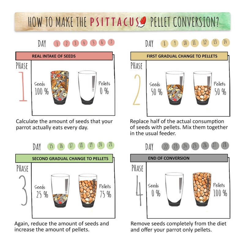 Psittacus Mini 1 lb | Complete Pellet Diet for Cockatiels, Conures and Cockatoos | Premium Food for Birds, 100% no-GMO - Image 3