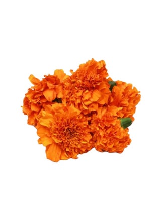 Fresh Marigold Orange Flowers