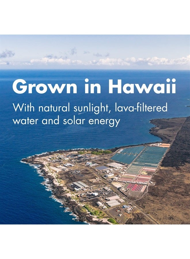 Nutrex Hawaii Pure Hawaiian Spirulina-500 mg Tablets 200 Count - Natural Premium Spirulina from Hawaii - Vegan, Non-GMO, Immunity Support - Superfood Supplement & Natural Multivitamin - Image 4