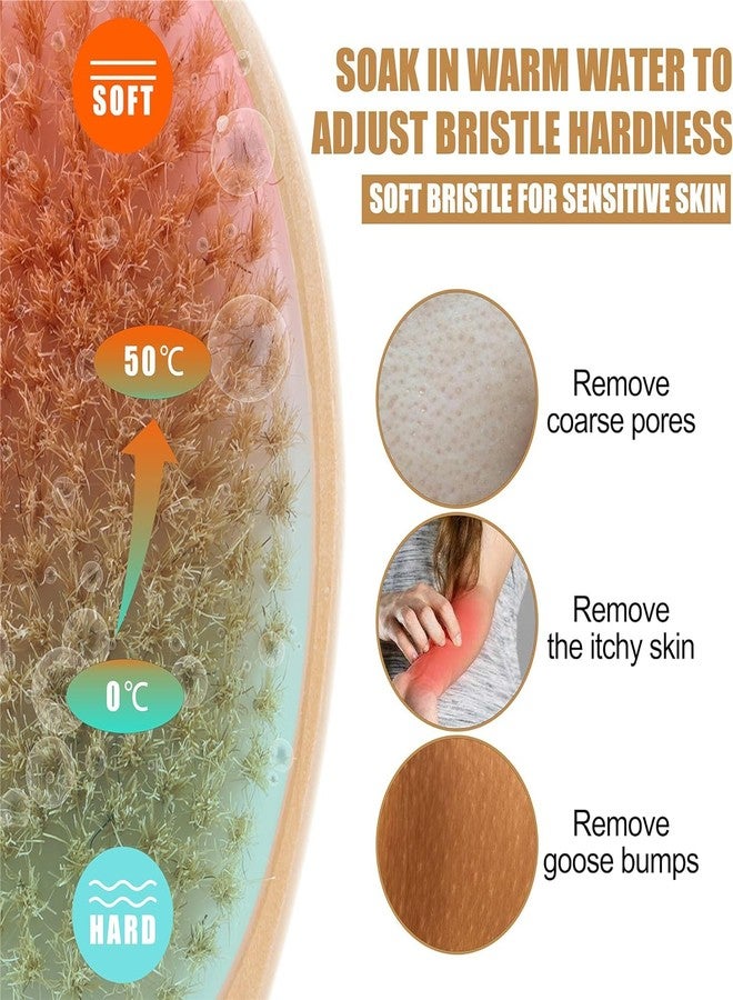 SUNDAY 2 in 1 Shower Brush with Long Handle, Soft Natural Bristles, Gentle Exfoliation, Back & Body Scrubber - Image 3