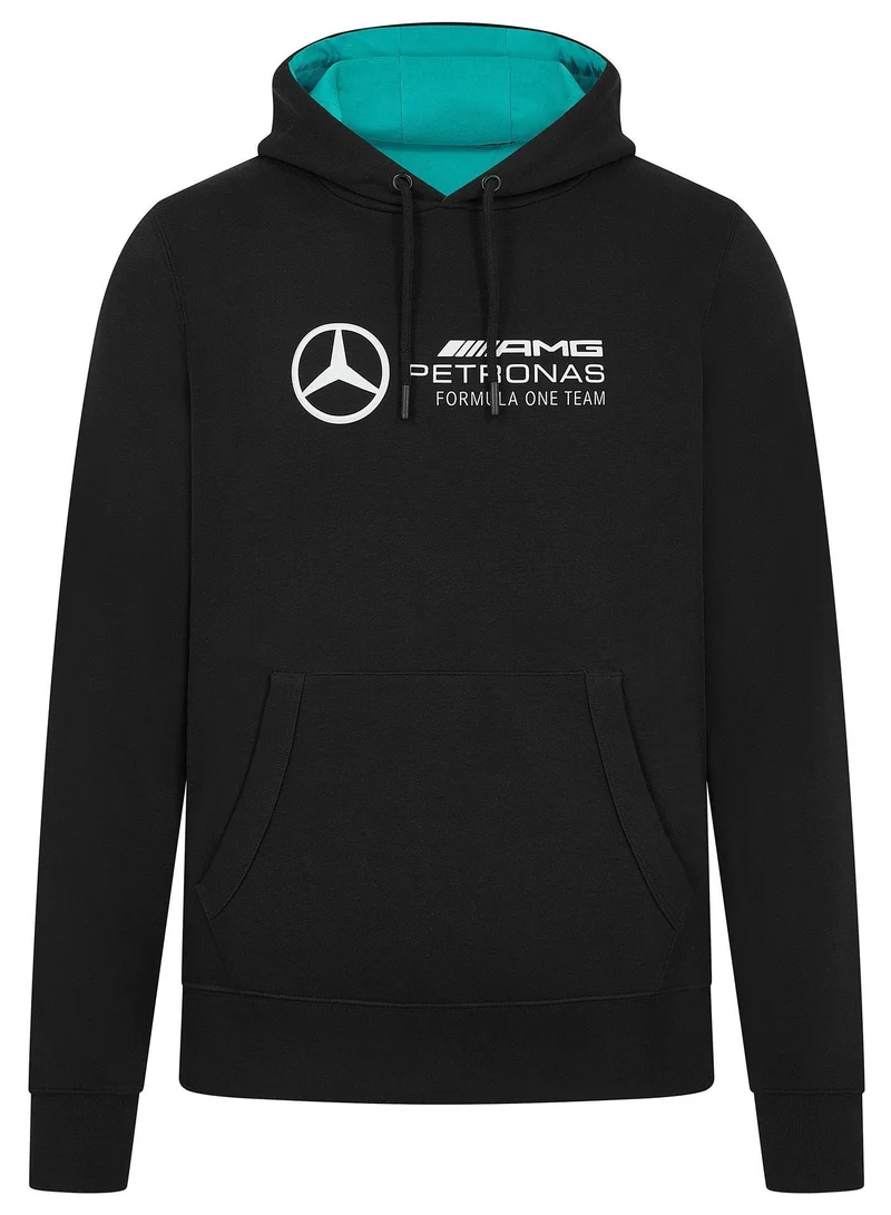 AMG Petronas Formula 1 Team  MERCEDES AMG PETRONAS F1 Mens Large 3D Team Logo Hoodie for Men | Best Price UAE