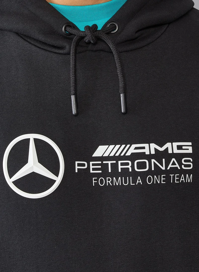 AMG Petronas Formula 1 Team  MERCEDES AMG PETRONAS F1 Mens Large 3D Team Logo Hoodie for Men | Best Price UAE