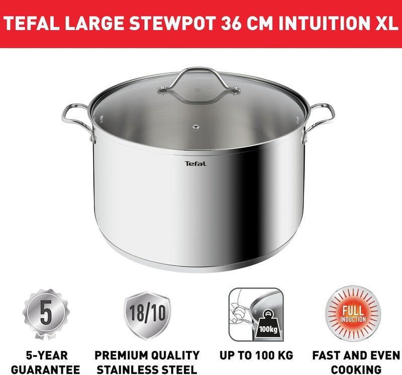 T-fal TEFAL Intuition XL stockpot | 36 cm | Premium Stainless steel 18/10 | XL Size | Robust Handles | Glass Lid | Induction Pot | 2 Years Warranty | B8647504 - Image 2