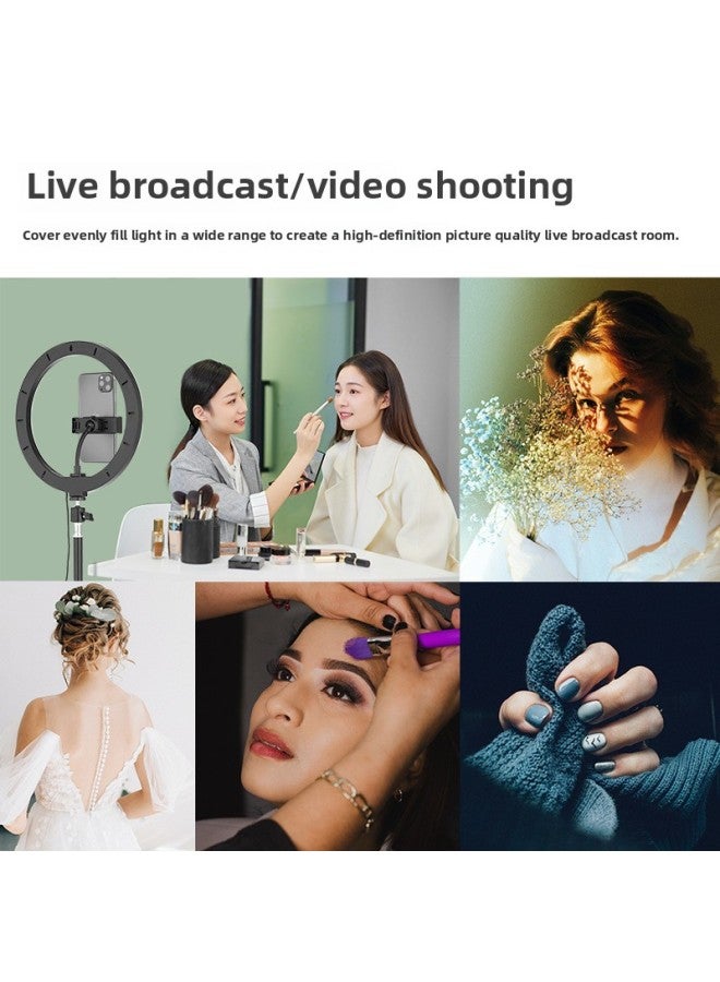 Photography Studio Ringlight 10-inch Ring Beauty Fill Light Mobile Phone Bracket Self-photographing Net Red Artifact-Specifications:2 M Bracket [Gift Storage Bag] + Single Mobile Phone Clamp + Yuntai +26cm Beauty Lamp