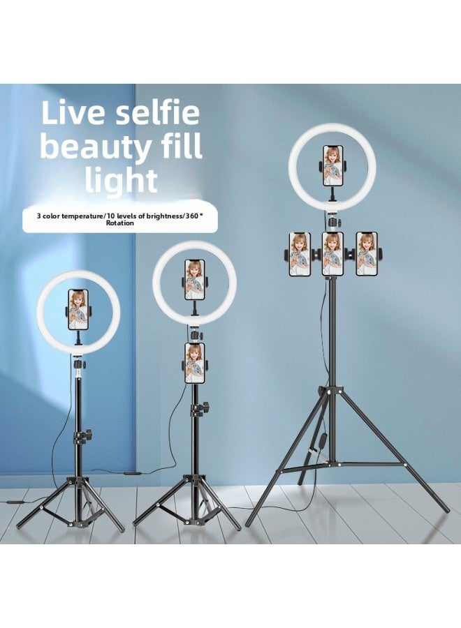 Photography Studio Ringlight 10-inch Ring Beauty Fill Light Mobile Phone Bracket Self-photographing Net Red Artifact-Specifications:2 M Bracket [Gift Storage Bag] + Single Mobile Phone Clamp + Yuntai +26cm Beauty Lamp