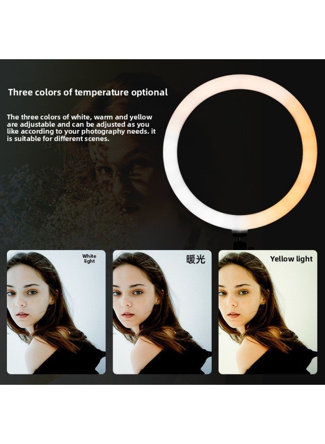 Photography Studio Ringlight 10-inch Ring Beauty Fill Light Mobile Phone Bracket Self-photographing Net Red Artifact-Specifications:2 M Bracket [Gift Storage Bag] + Single Mobile Phone Clamp + Yuntai +26cm Beauty Lamp