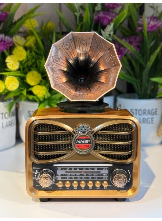 Classic radio with a built-in 1200mAh battery.
