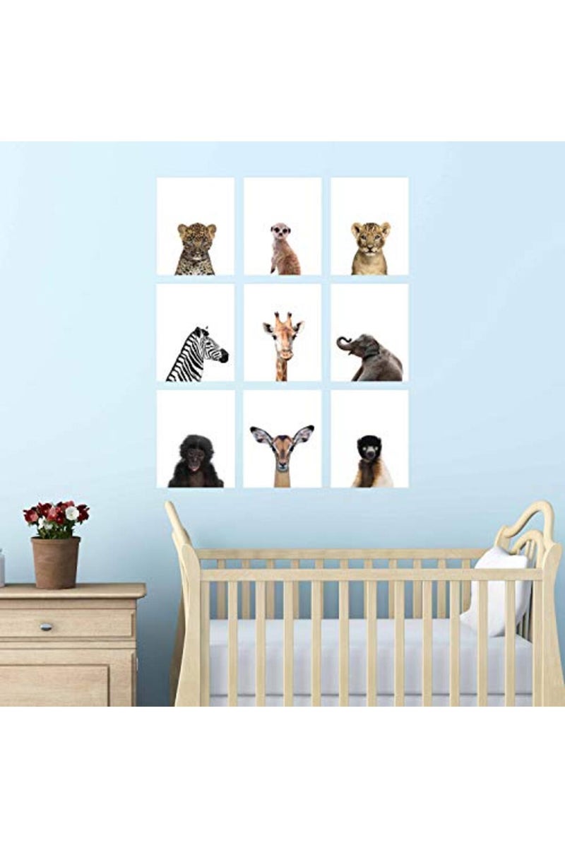 Palace Learning طباعة ملصقات الحيوانات البرية من بالاس ليرنينغ 9 عبوات - فن جدران الحيوانات الصغيرة اللطيفة - ديكور غرفة الأطفال (8" x 10"، ورق مقوى غير مؤطر) مزدوجة الجوانب - Image 3