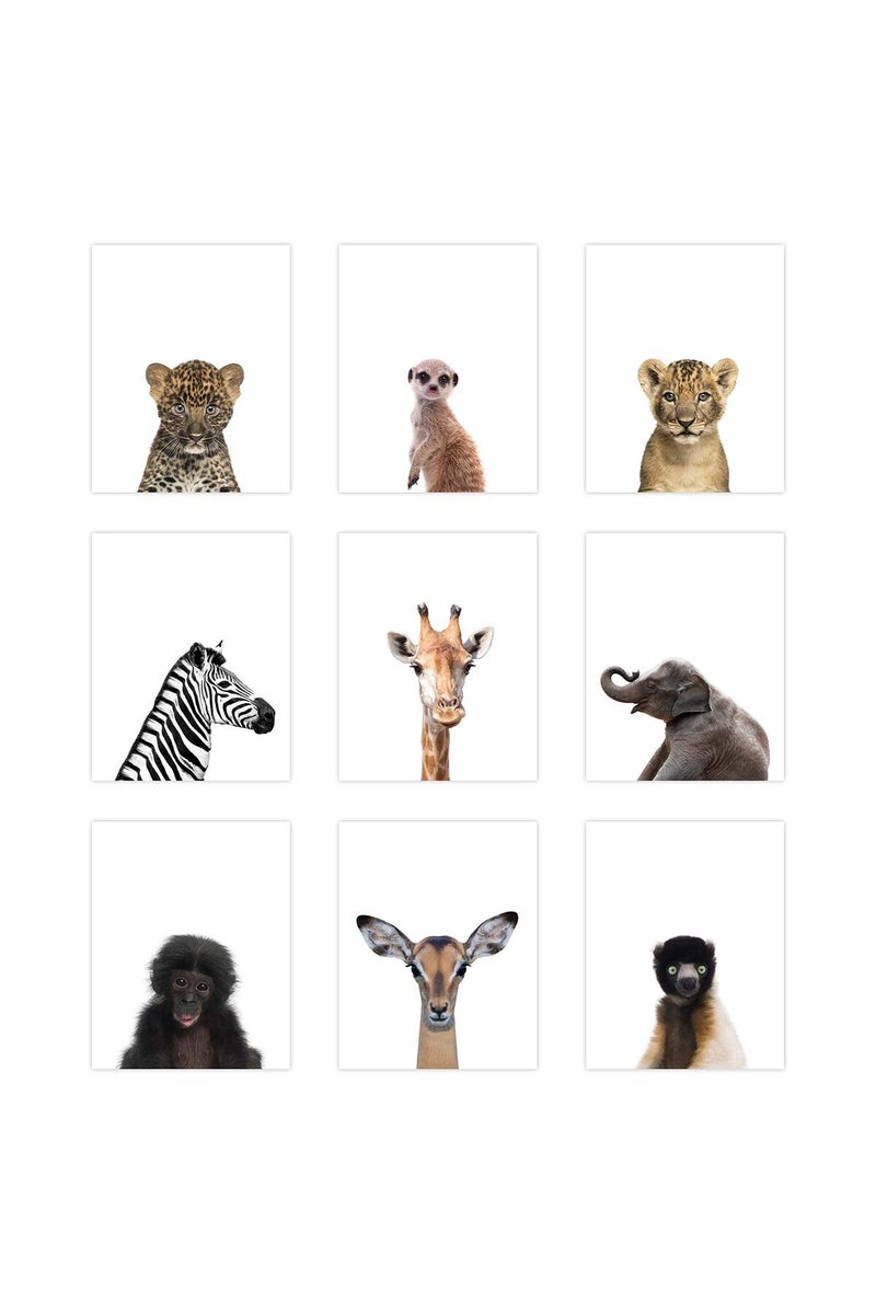 Palace Learning طباعة ملصقات الحيوانات البرية من بالاس ليرنينغ 9 عبوات - فن جدران الحيوانات الصغيرة اللطيفة - ديكور غرفة الأطفال (8" x 10"، ورق مقوى غير مؤطر) مزدوجة الجوانب - Image 1