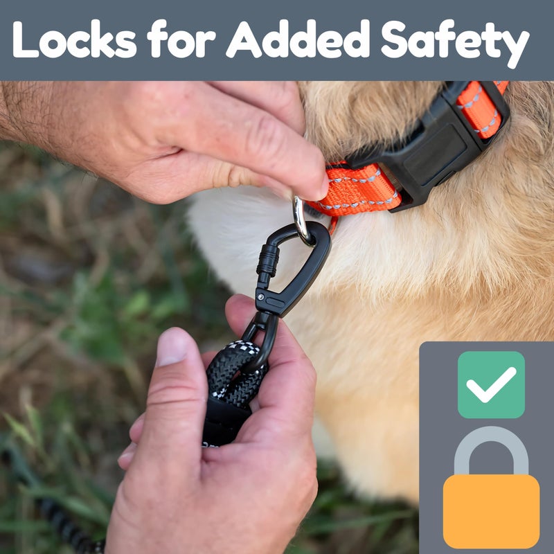 Roam Gear 6 Foot Dog Leash, Two Extra Padded Handles, Locking Carabiner Clip, Reflective for Night Visibility, Weatherproof, Heavy Duty Rope Leash, Roam Gear (Black) - Image 5