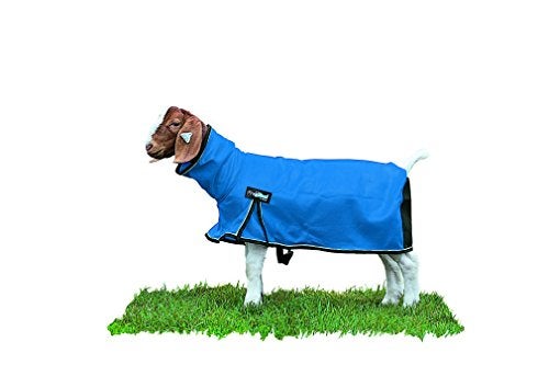 Weaver Leather Livestock ProCool Mesh Goat Blanket with Reflective Piping, Blue, Medium - Image 3